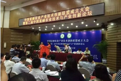 ȫ���л������˳������