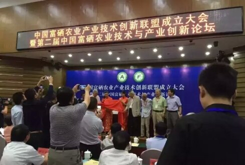 ȫ���л������˳������