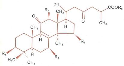 ��֥�����໯��������֥��������Ҫ�ɷ�