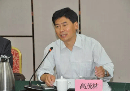 中国食用菌协会常务副会长高茂林讲话