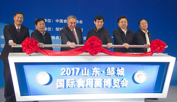 ɽ¶«×޳ǹú¼ÊʳÓþú²©ÀÀ»áÆô¶¯ÒÇʽÏÖ³¡