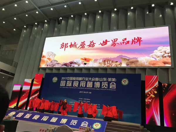 2017�й�ʳ�þ���ҵ�����(ɽ�����޳�)����ʳ�þ�������ɹ��ٰ�