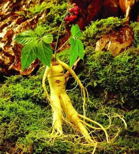 �������˲�