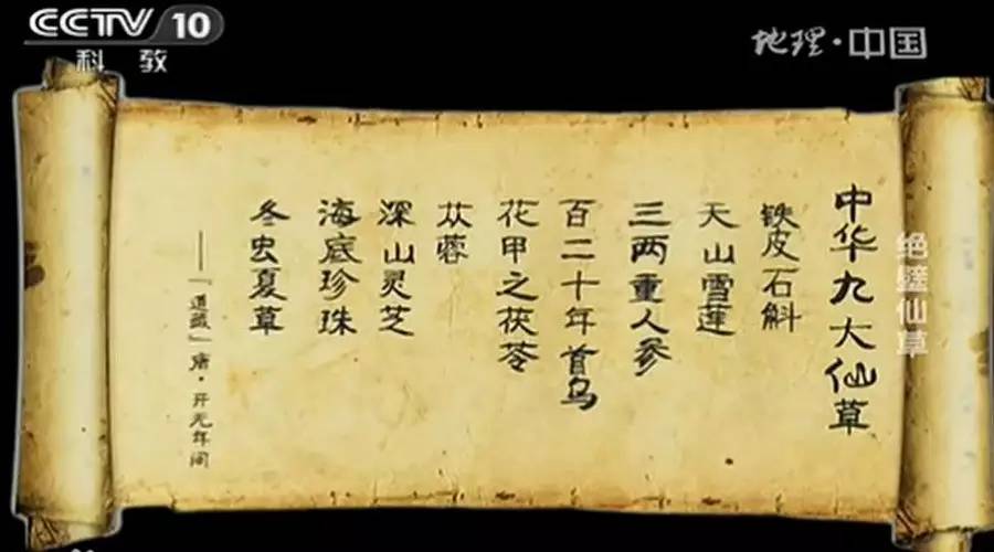 �л��Ŵ��ɲ� ����ʶ���֣�