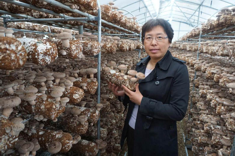 ʳ�þ�������������ù���ֲ����Ʒ�ֱ��������״η�����ȫ��16λ