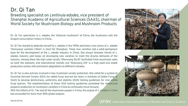 ̷����ʿ���й��ġ����㡱ϵ���㹽Ʒ��