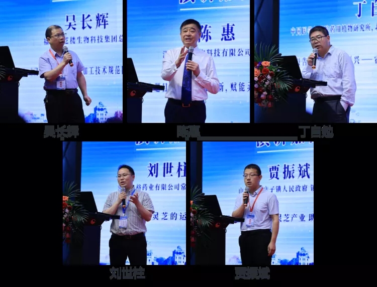 灵芝作为食品原料用于食品生产的建议